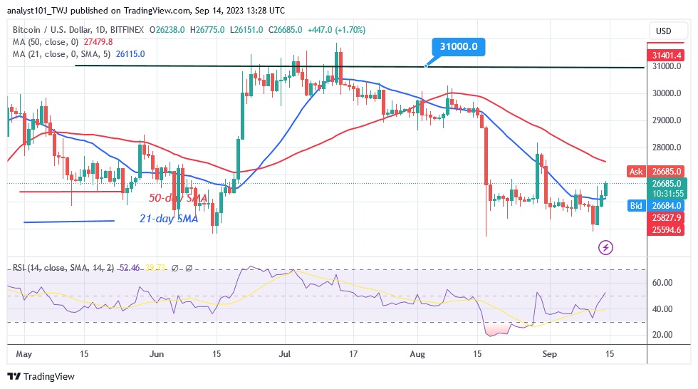 BTCUSD_(Daily Chart) – Sept. 14.23.jpg