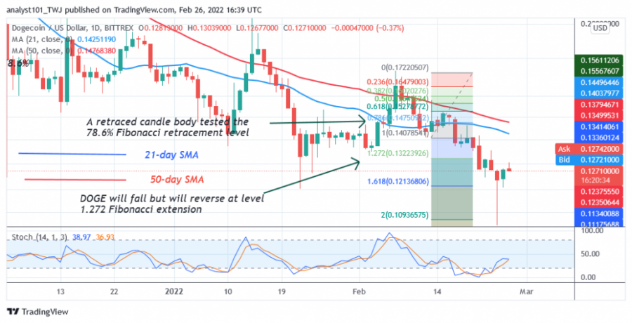 DOGEUSD(Daily_Chart_2)_-_FEB.26.png