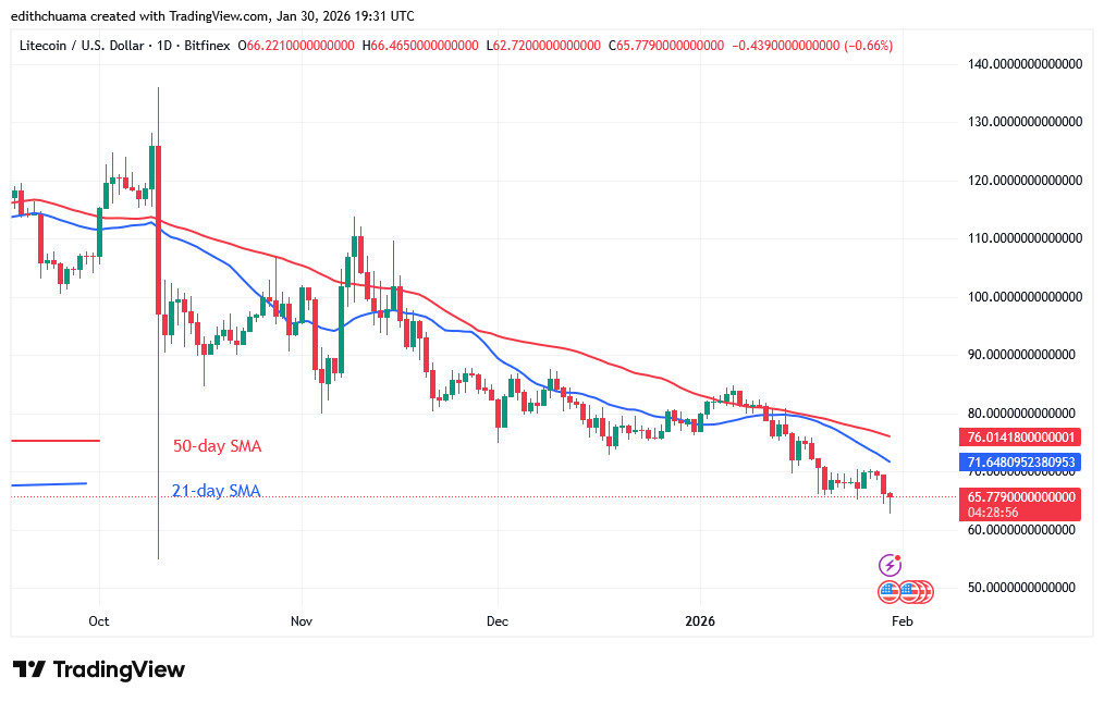 LTCUSD_(Daily Chart) - JAN.30, 2026