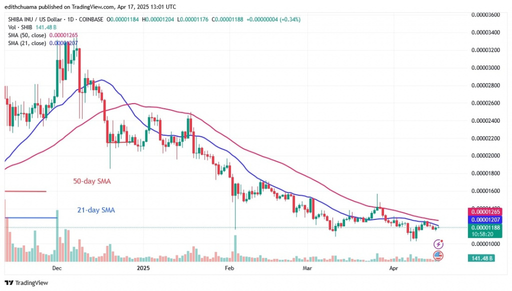 SHIBUSD_(Daily Chart) - April 17.jpg