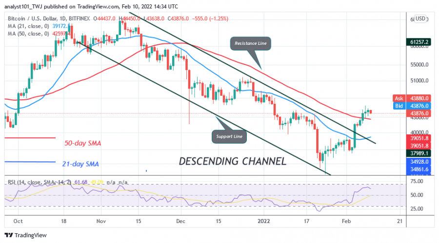 BTCUSD(Daily_Chart)_-_FEB._10.png