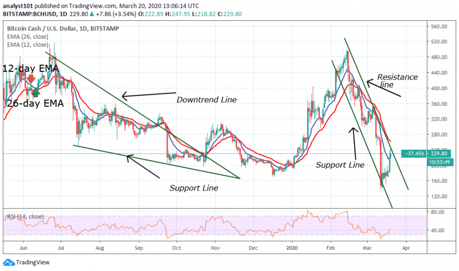 BCH-Coinidol_(2) (1).png