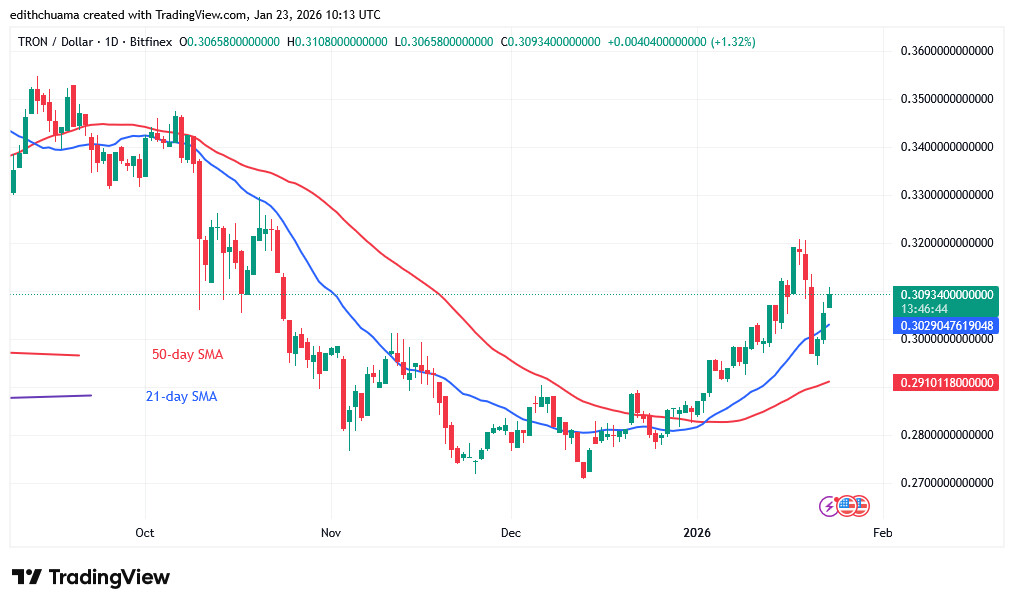 TRXUSD_(Daily Chart) - JAN.23, 2026