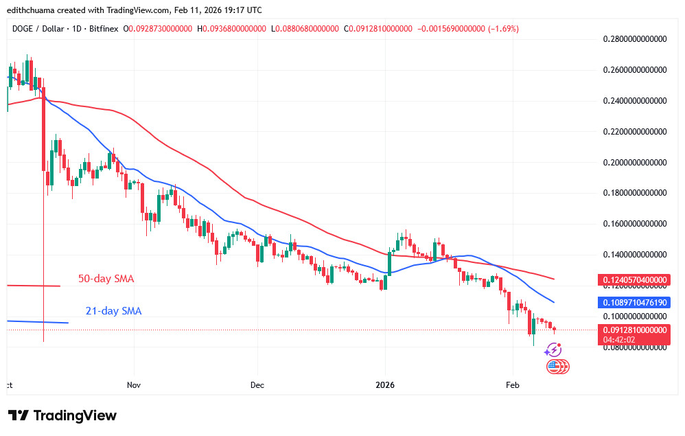 DOGEUSD_(Daily Chart) - FEB.11, 2026