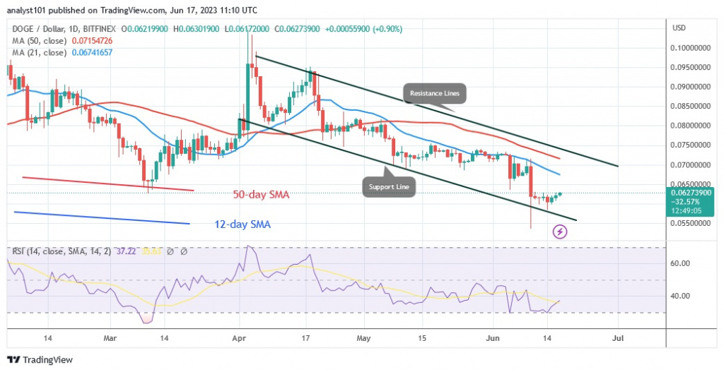 DOGEUSD_(Daily Chart) – June 17.23.jpg