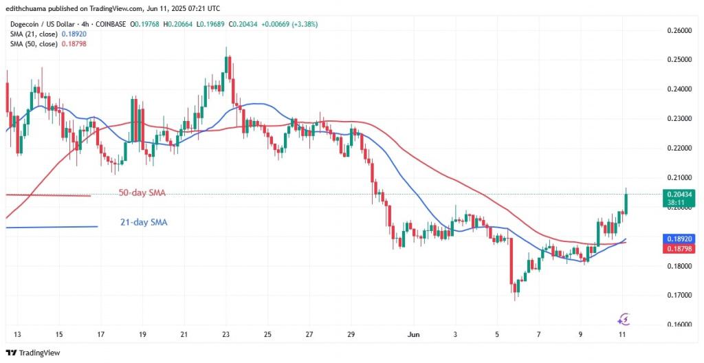 DOGEUSD_(4-hour Chart) - June 11.jpg