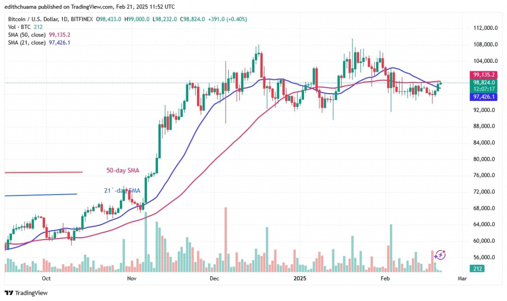 BTCUSD_(Daily Chart) -FEB.21.jpg