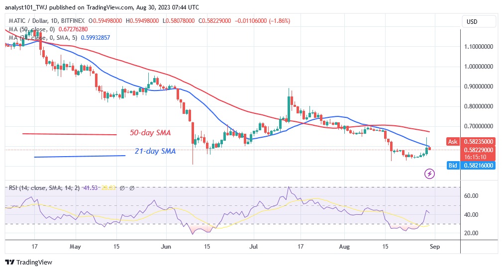 MATICUSD_(Daily Chart) – AUG. 30.23.jpg