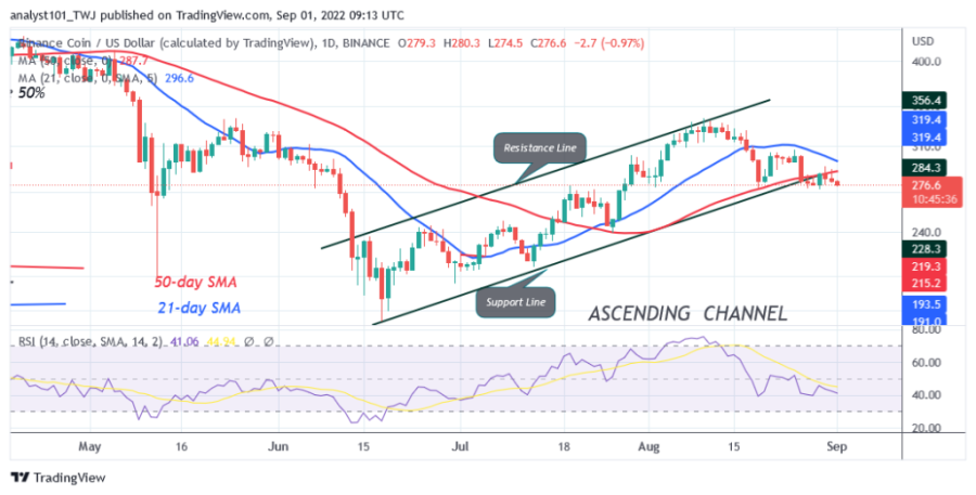 BNBUSD(Daily Chart) - September 1.png