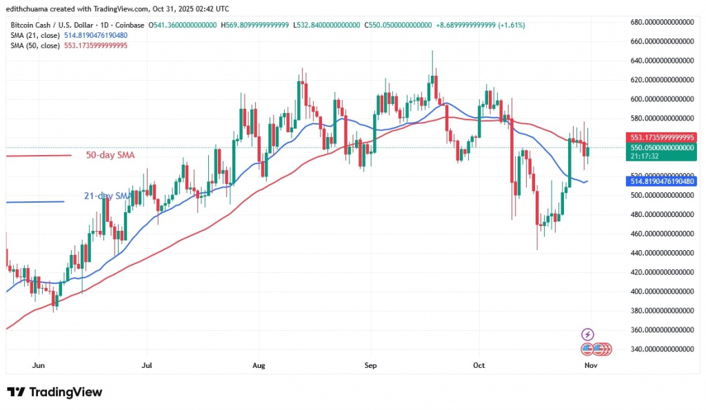 BCHUSD_(Daily chart) - OCT. 31, 2025