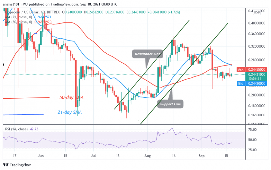 DOGEUSD(Daily_Chart).png