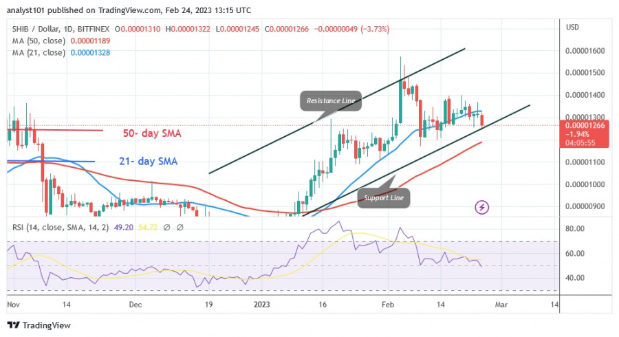 SHIBUSD (Daily Chart) - Helmikuu 24.23.jpg