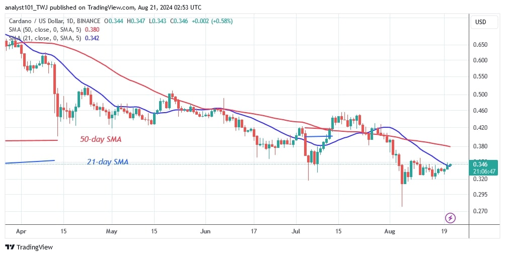 ADAUSD_(Daily Chart) –AUG.21.jpg