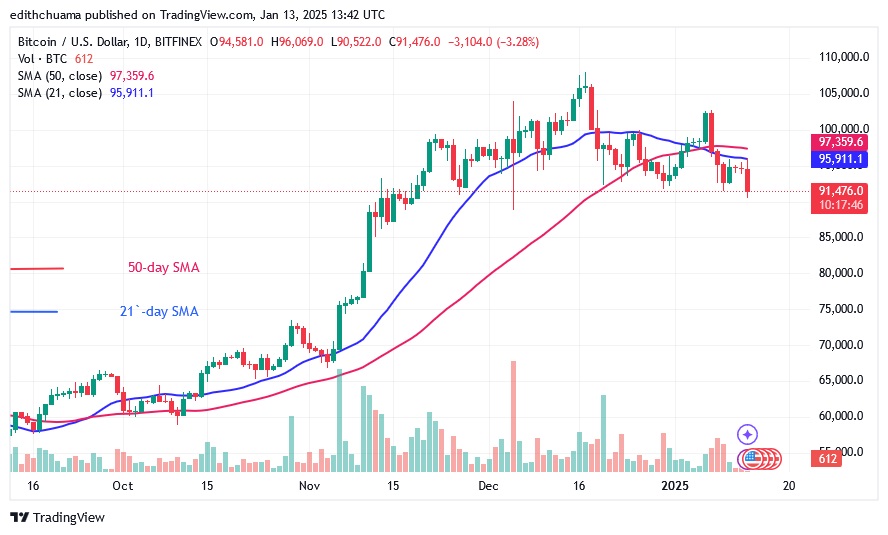 BTCUSD_(Daily Chart) - JAN.13.25.jpg