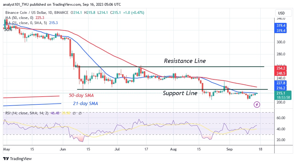 BNBUSD (Daily Chart) – SEPT. 16.23.jpg