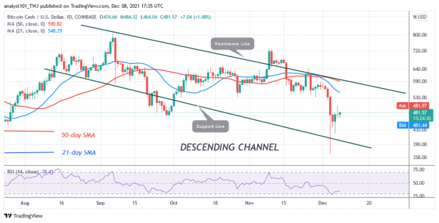 BCHUSD(Daily_Chart)_-_DEC._8.png