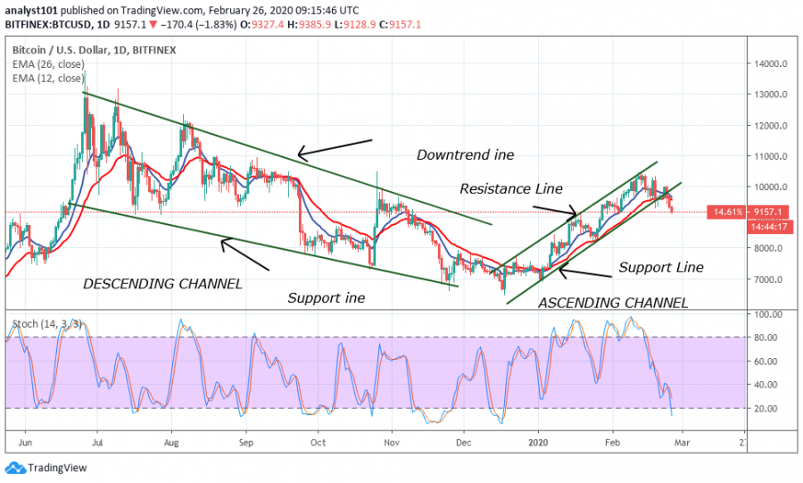 BTC-CoinIdol (2).png