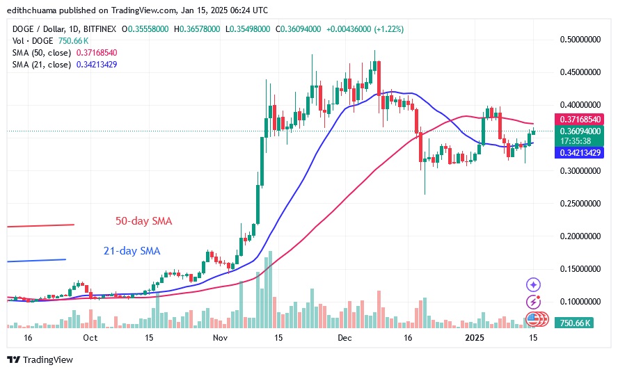 DOGEUSD_(Daily Chart) - JAN. 15.25.jpg