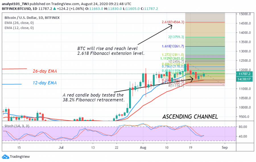 BTC-CoinIdol.(_2_Chart)png_(2).png