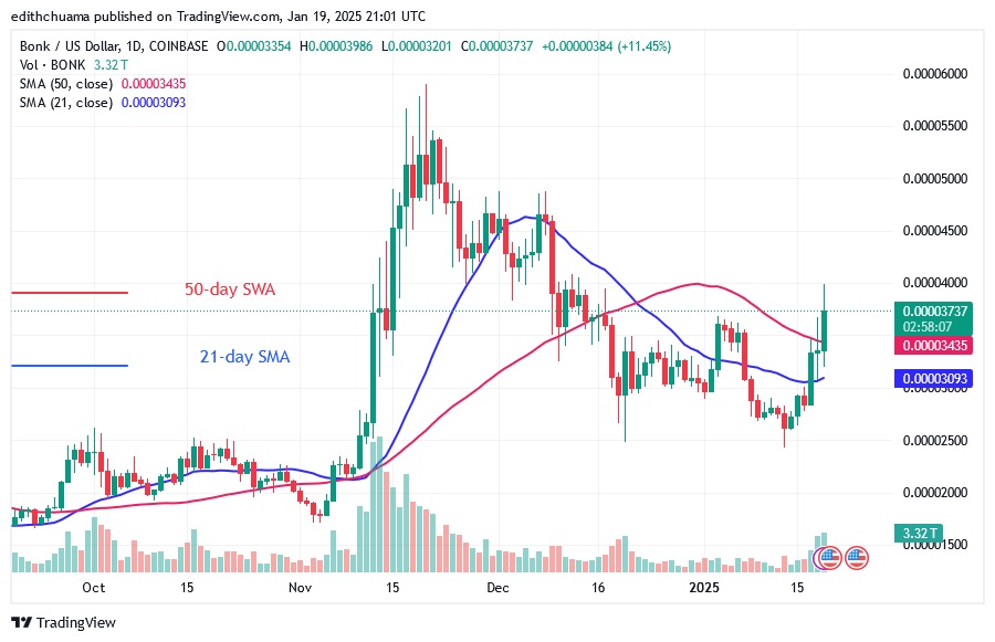 BONKUSD_(Daily Chart) – JAN.19.25.jpg