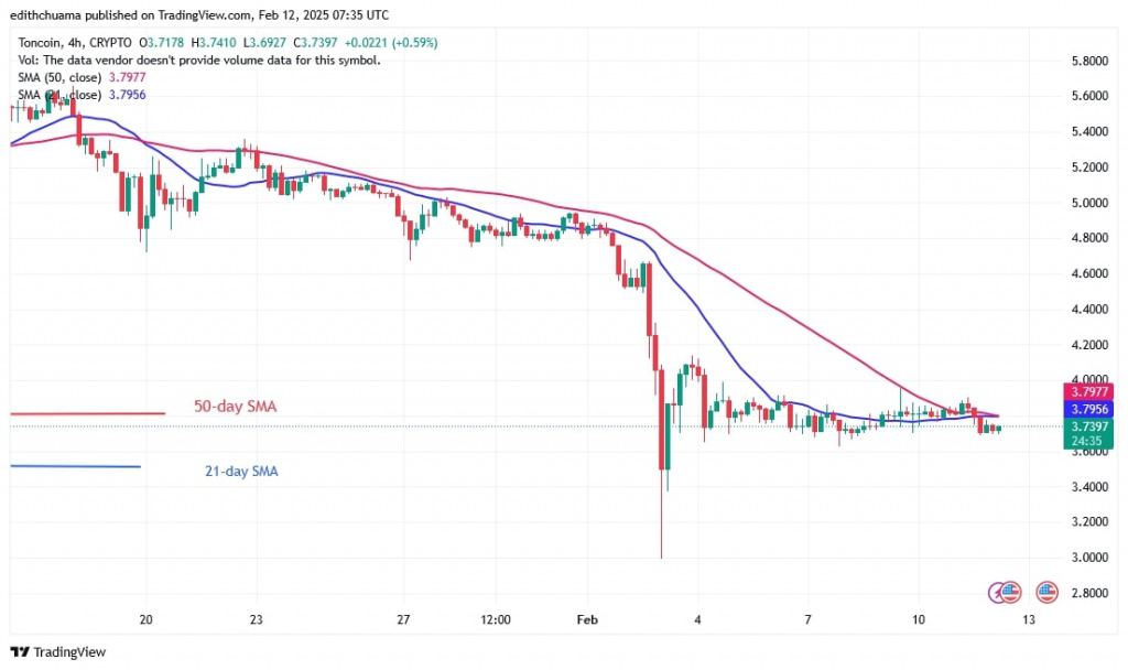 TONUSD_(4-Hour Chart) - FEB.12.jpg