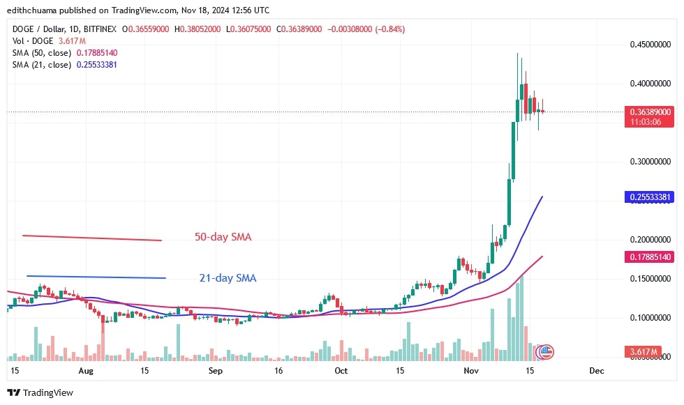 DOGEUSD_(Daily Chart) –NOV. 18.jpg