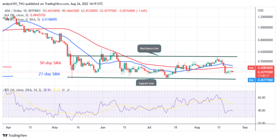 ADAUSD(Daily+Chart)+-+August+24.png
