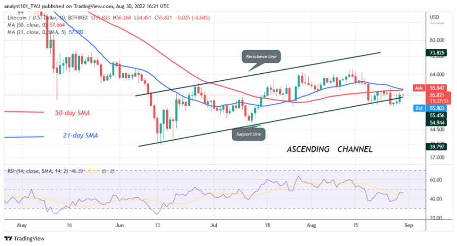 LTCUSD (Daily++ Chart)+-++Augustus+30.png