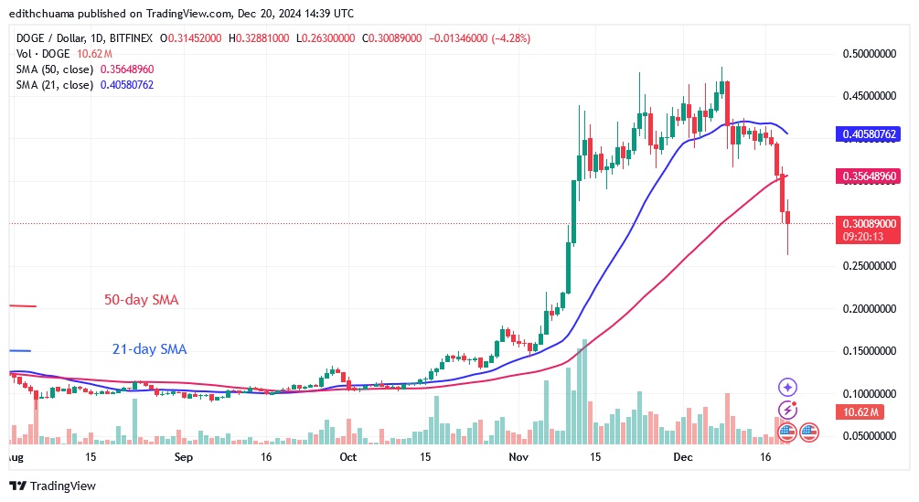 DOGEUSD_(Daily Chart) - DEC.20.24.jpg