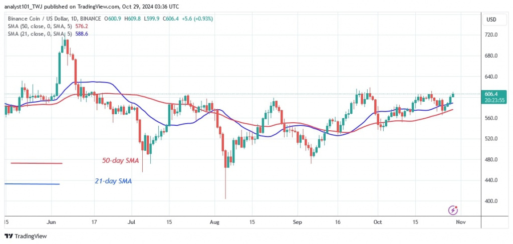 BNBUSD (Daily Chart) –OCT.29.jpg