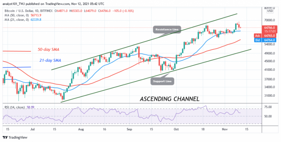 BTCUSD(_Daily_Chart)_-_NOV._11.png