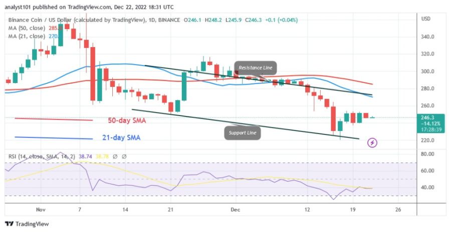 BNBUSD(Daily Chart) - December 22.22.jpg