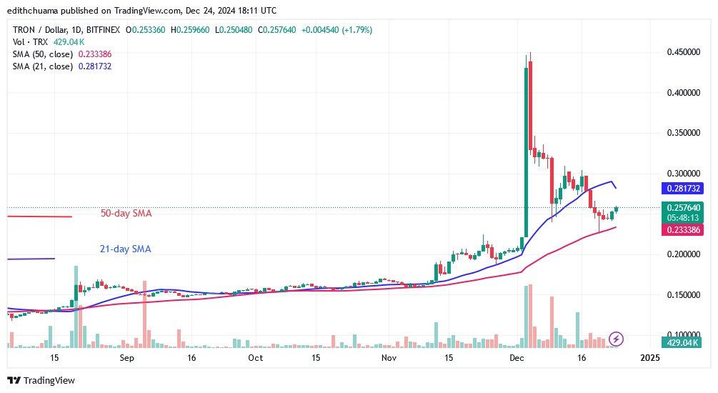 TRXUSD_(Daily Chart) - DEC.24.24.jpg