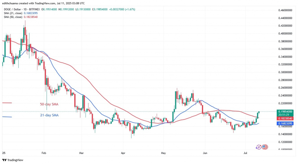 DOGEUSD_(Daily Chart) - July 11.jpg