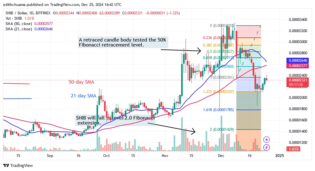 SHIBUSD_(Daily Chart) - DEC.25.24.jpg