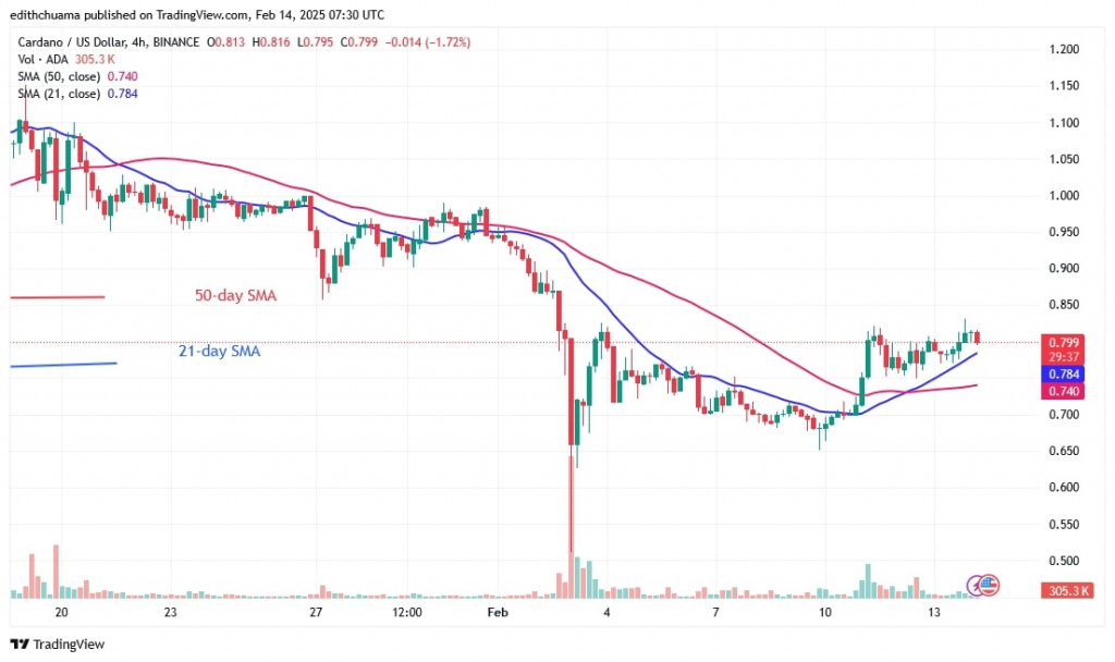 ADAUSD_(4-Hour Chart) -FEB.14.jpg