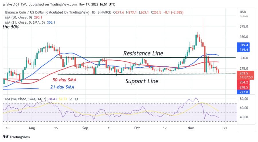 BNBUSD(Daily+Chart)+-+November+17.22.jpg