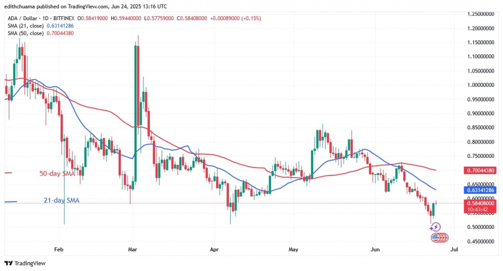 ADAUSD_(Daily Chart) - June 24.jpg