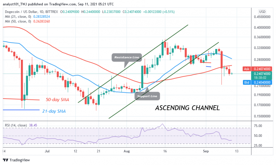 DOGEUSD(Daily_Chart)_-_SEPT..11.png