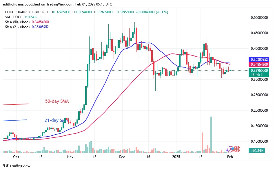 DOGEUSD_(Daily Chart) - FEB.01.25.jpg