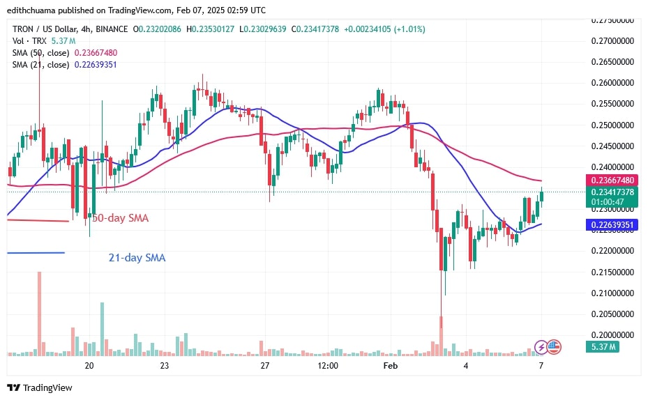 TRXUSD_(4-Hour Chart) - FEB.07.jpg