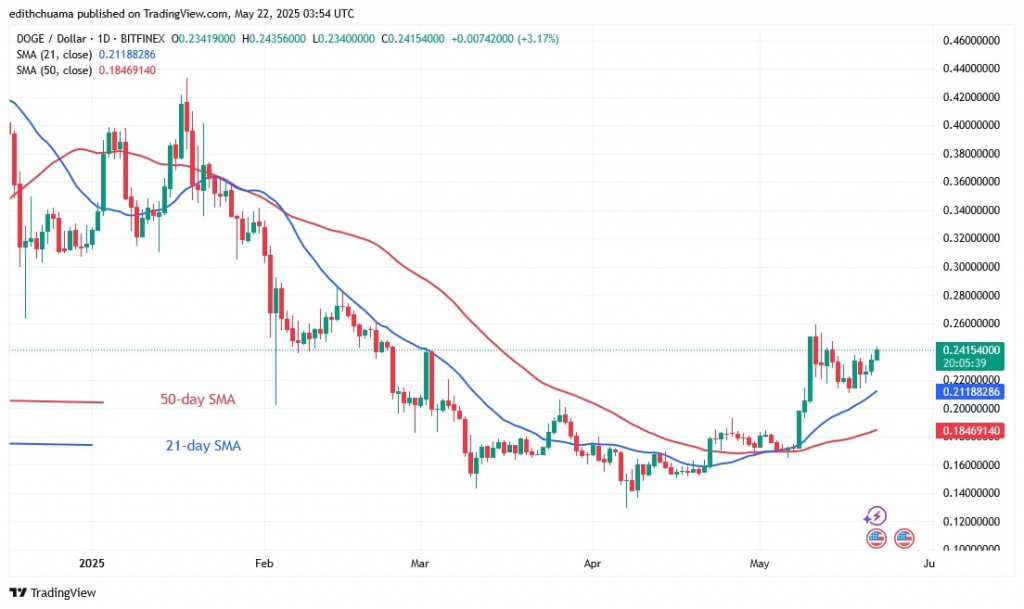 DOGEUSD_(Daily Chart) - May 22.jpg