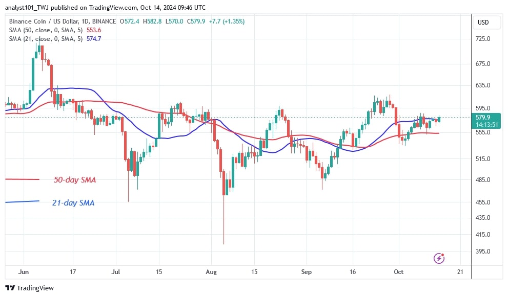 BNBUSD (Daily Chart) –OCT.14.jpg