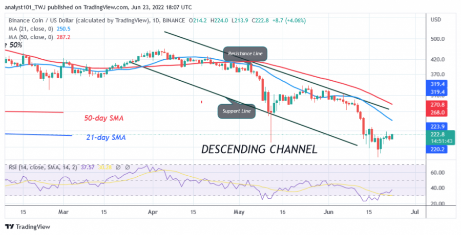 BNBUSD (يومي + مخطط) + - + يونيو + 23.png