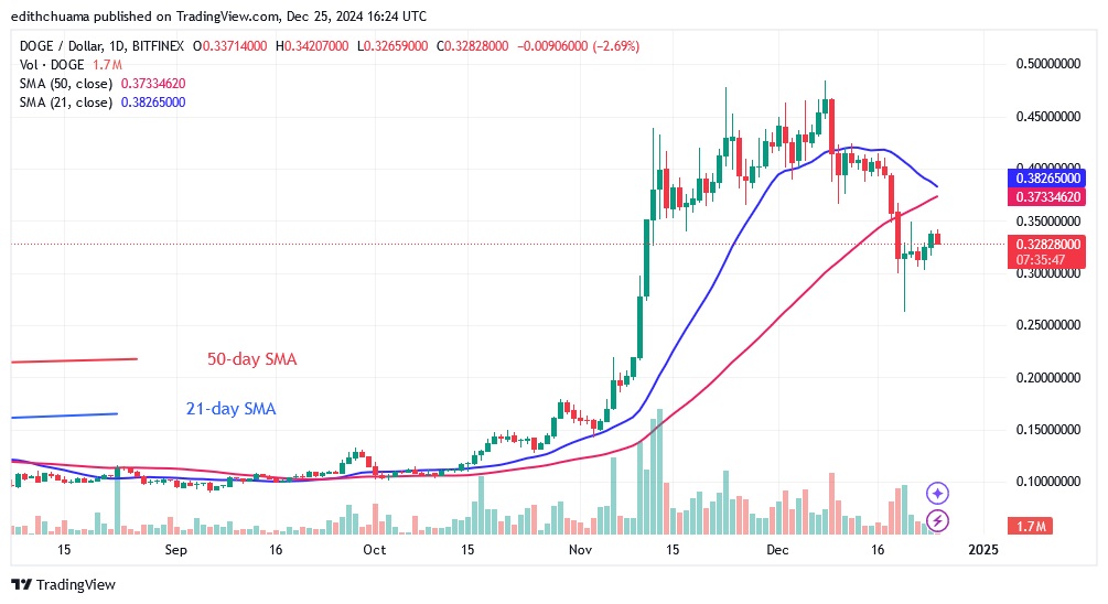 DOGEUSD_(Daily Chart) - DEC.25.24.jpg