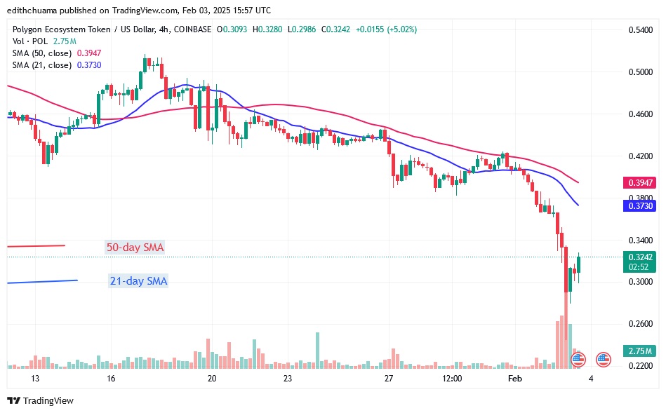 POLUSD_(4-Hour Chart) - FEB.03.25.jpg