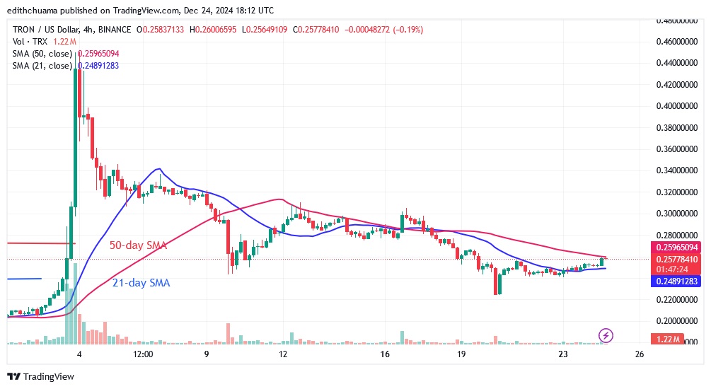 TRXUSD_(4-Hour Chart) - DEC.24.24.jpg