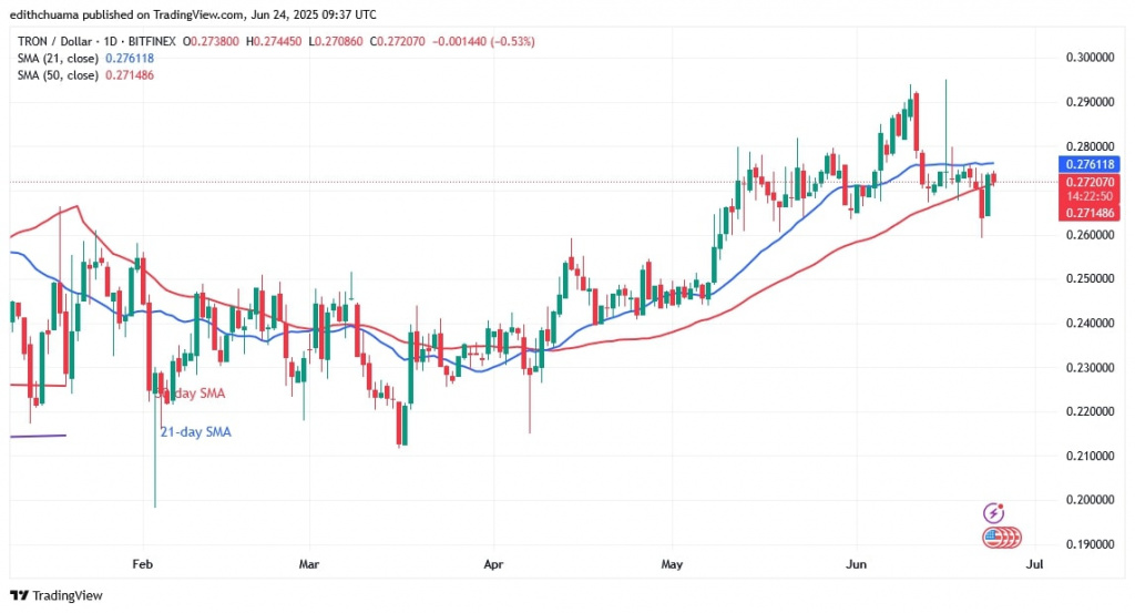 TRXUSD_(Daily Chart) - June 24, 2025 TRXUSD_(Daily Chart) - June 24.jpg