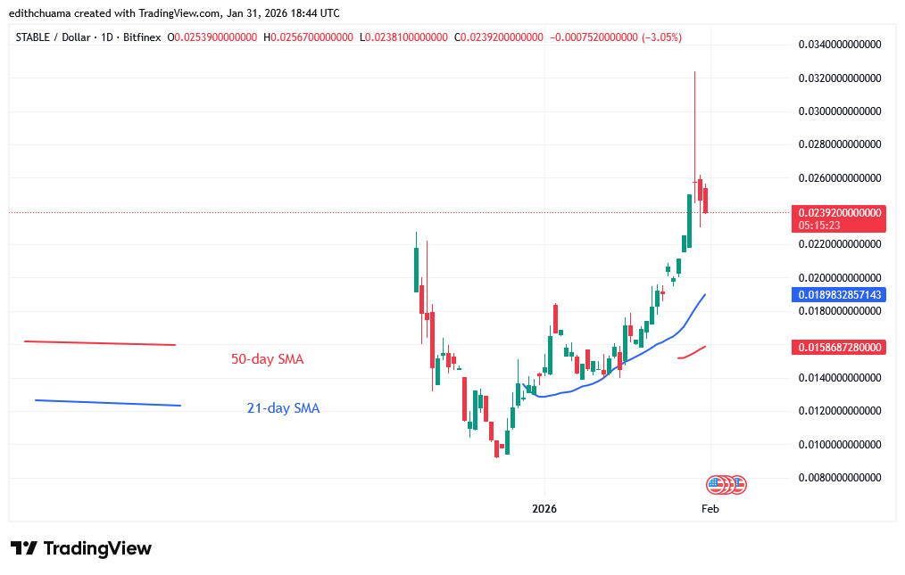 STABLEUSD_(Daily Chart) – JAN.31, 2026 STABLEUSD_(Daily Chart) – JAN.31, 2026