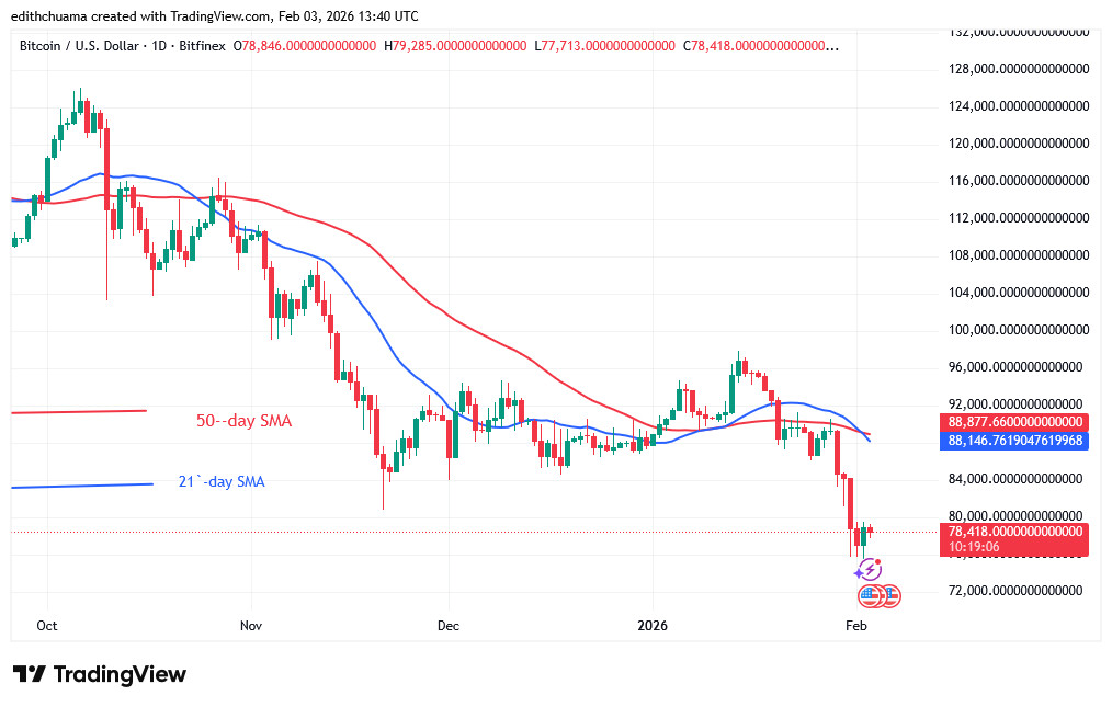 BTCUSD_(Daily Chart) - FEB.3, 2026